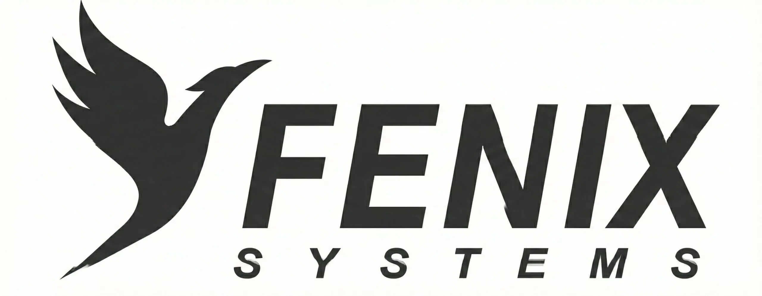 Fenix Systems