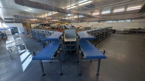 Zaawansowany system 10 przenośników modułowych do ręcznego sortowania i pakowania